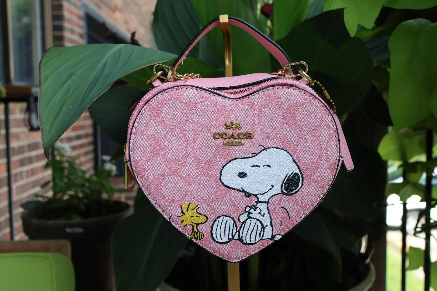Snoopy Heart