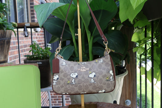 Snoopy Bag