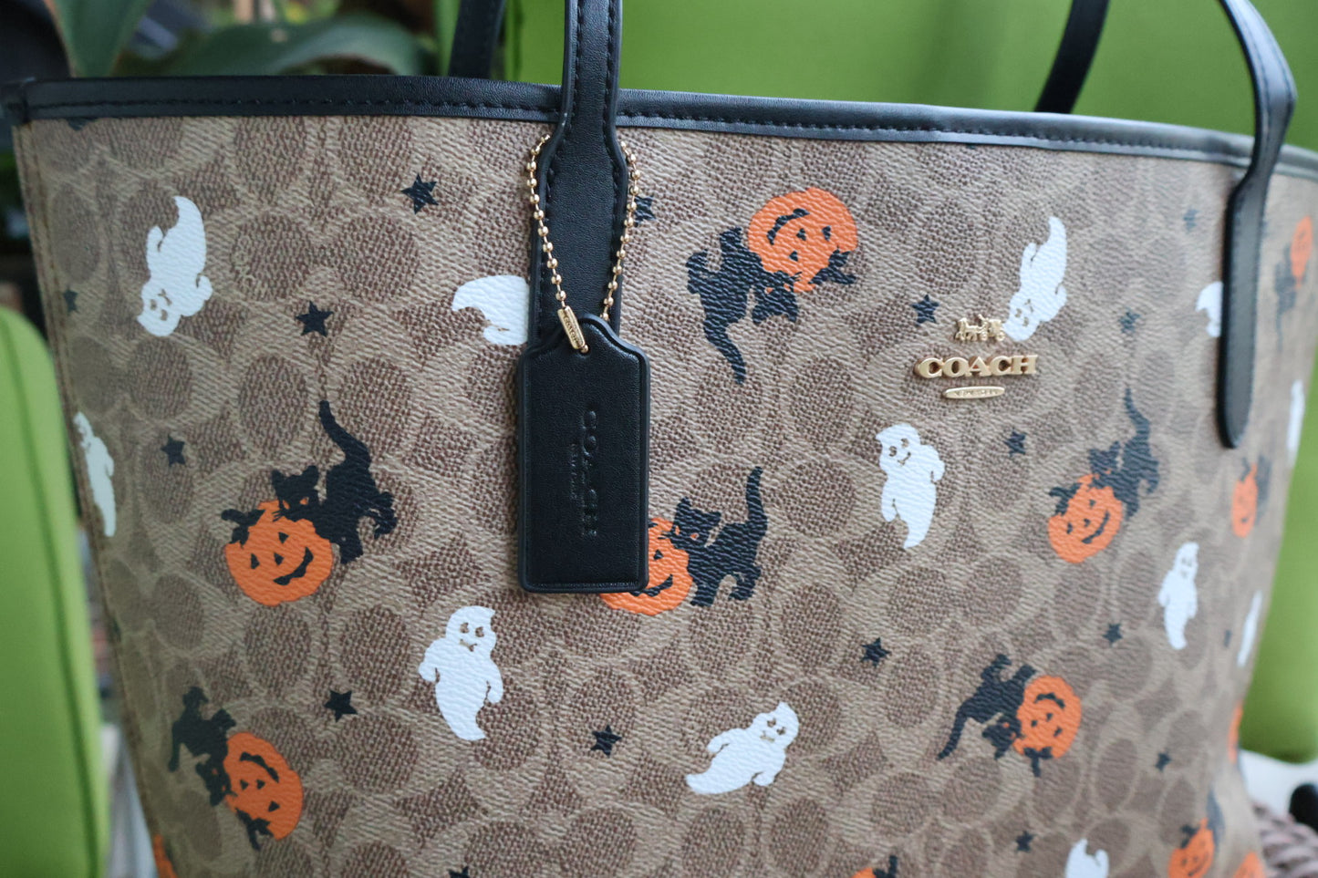 Halloween Tote
