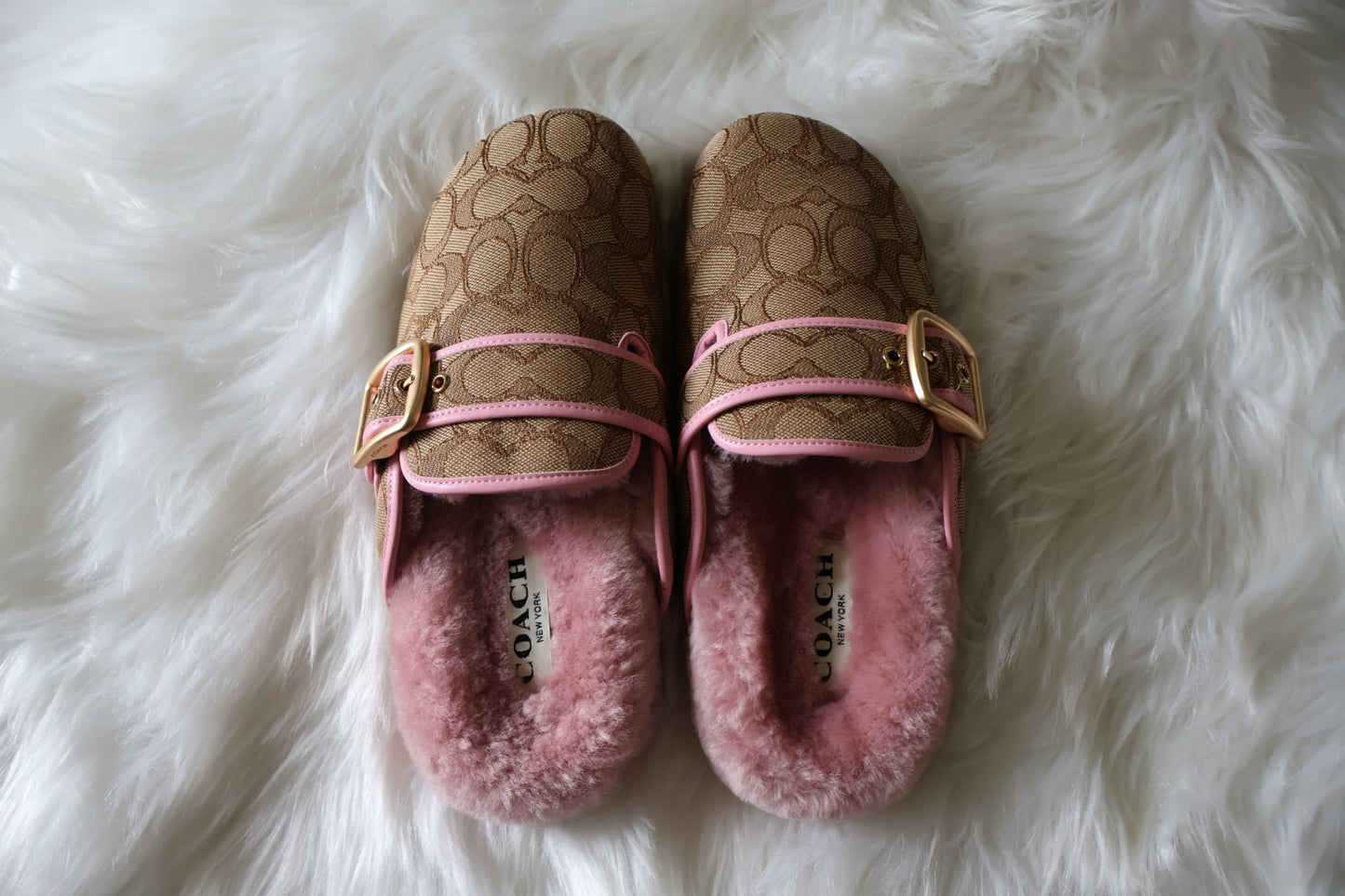Pink Clogs
