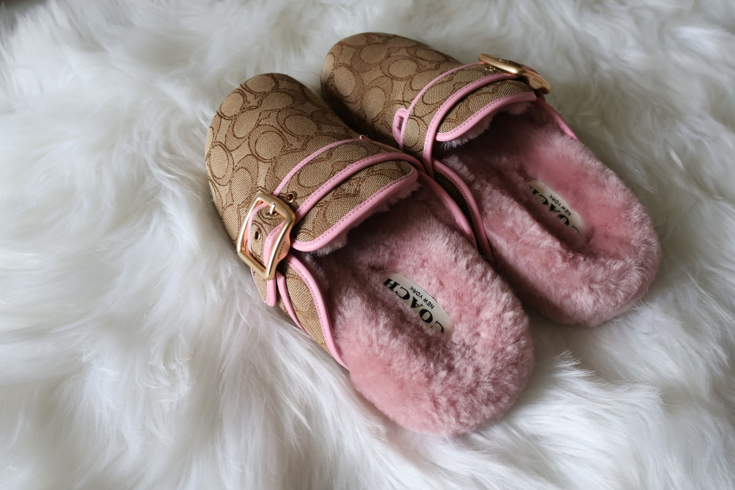 Pink Clogs